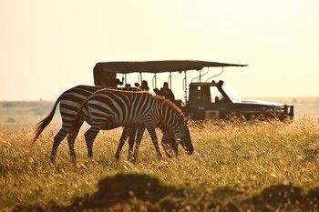 Elephant Pepper Camp Maasai Mara Exterior photo
