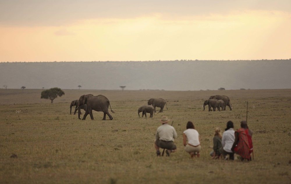 Elephant Pepper Camp Maasai Mara Exterior photo