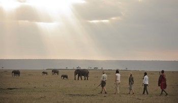Elephant Pepper Camp Maasai Mara Exterior photo